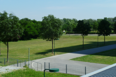 thumbs-wien_2019_-007