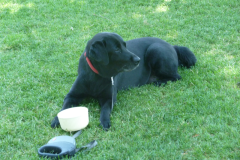 thumbs-wien_2019_-008